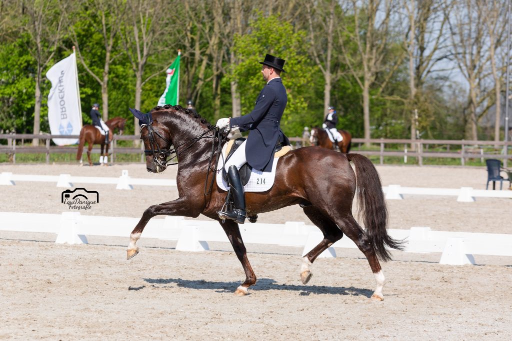 EquiDanique fotografie