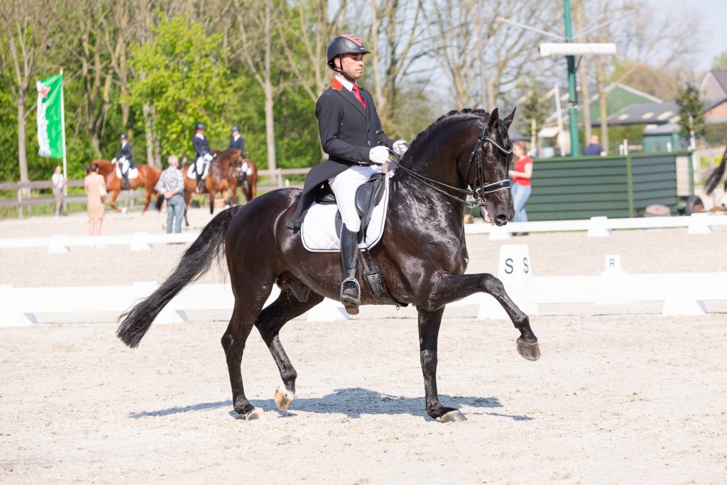 EquiDanique fotografie
