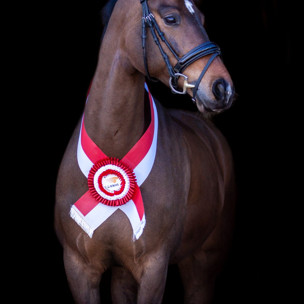 EquiDanique fotografie