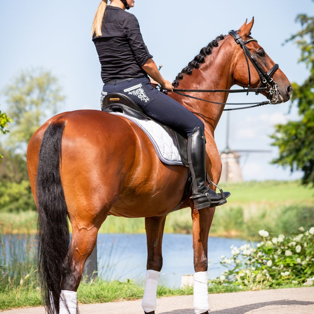 EquiDanique fotografie