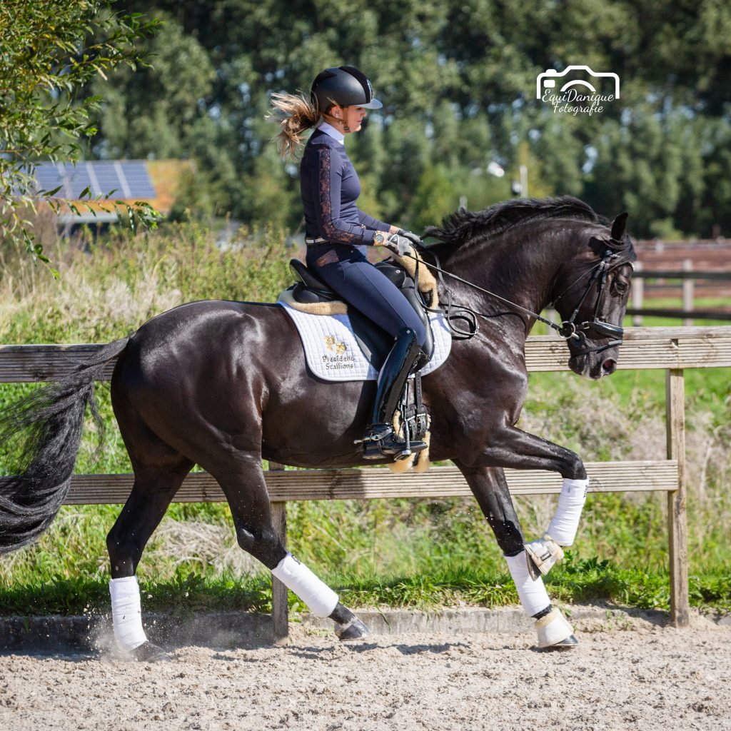 EquiDanique fotografie