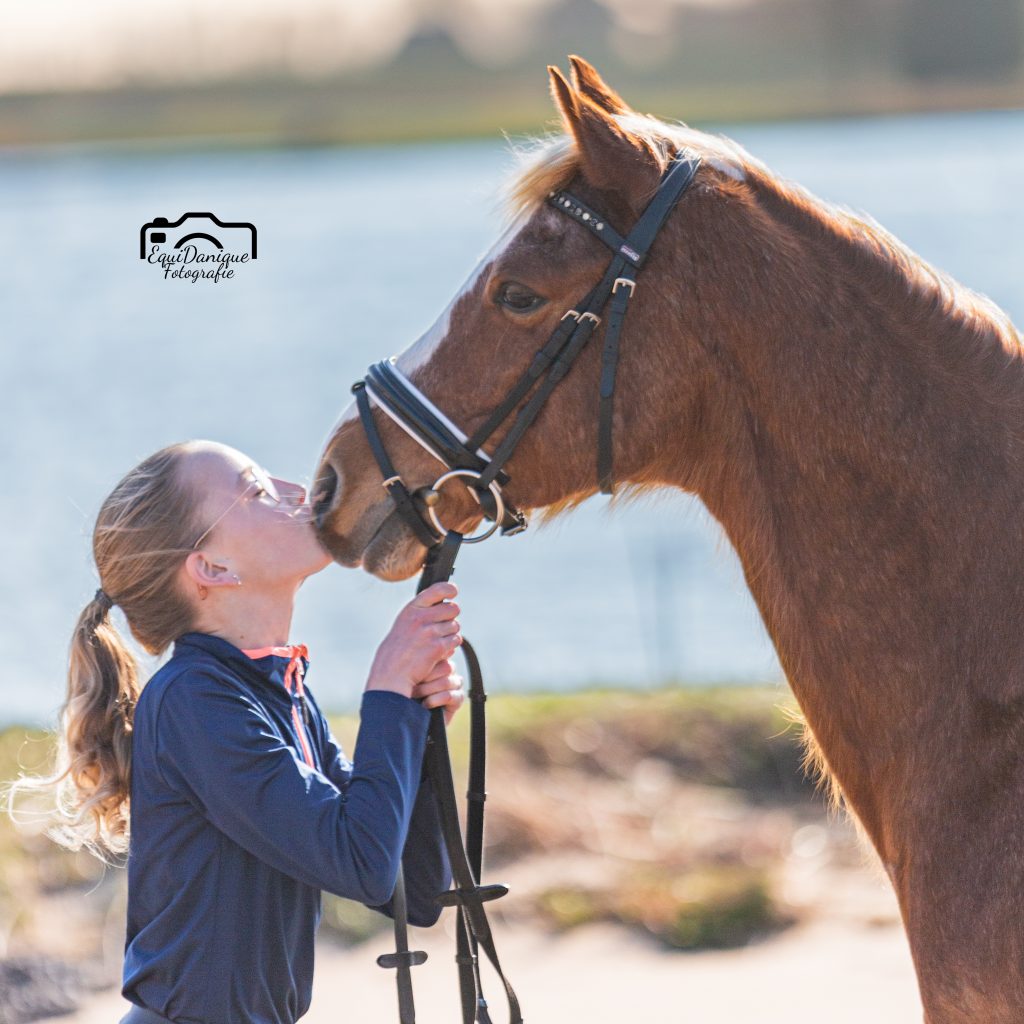 EquiDanique fotografie