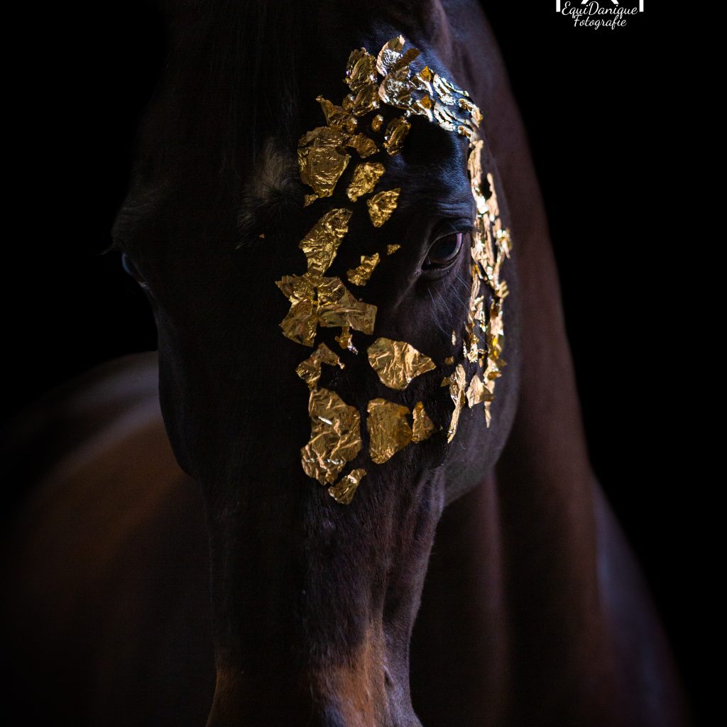 EquiDanique fotografie